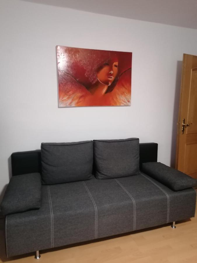Hortensia - Appartment - Ferienwohnung - Ferienhaus Munzkirchen Экстерьер фото